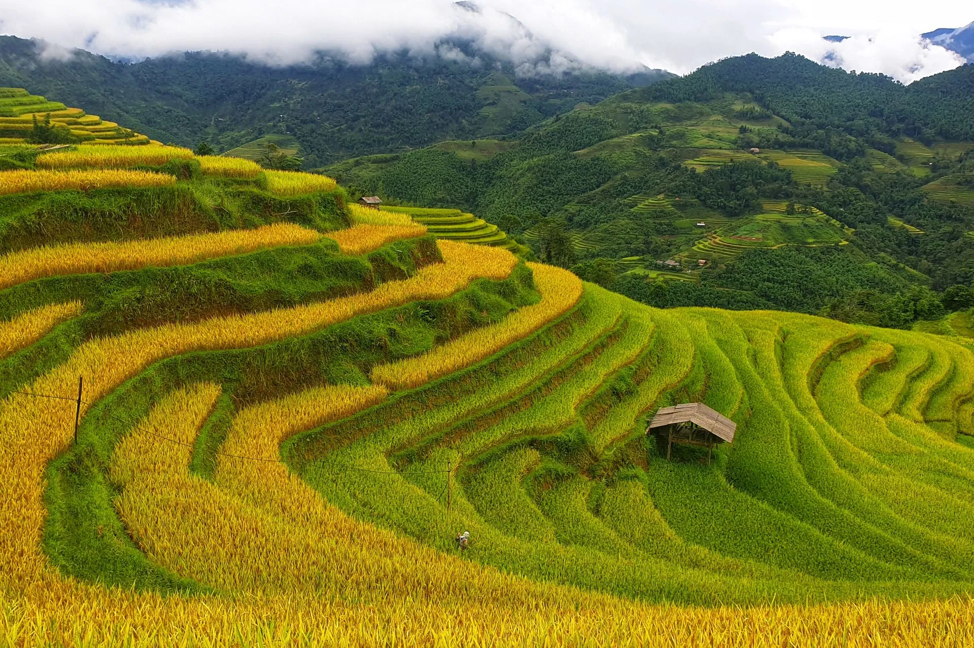 Trekking the terraced rice valleys of SaPa