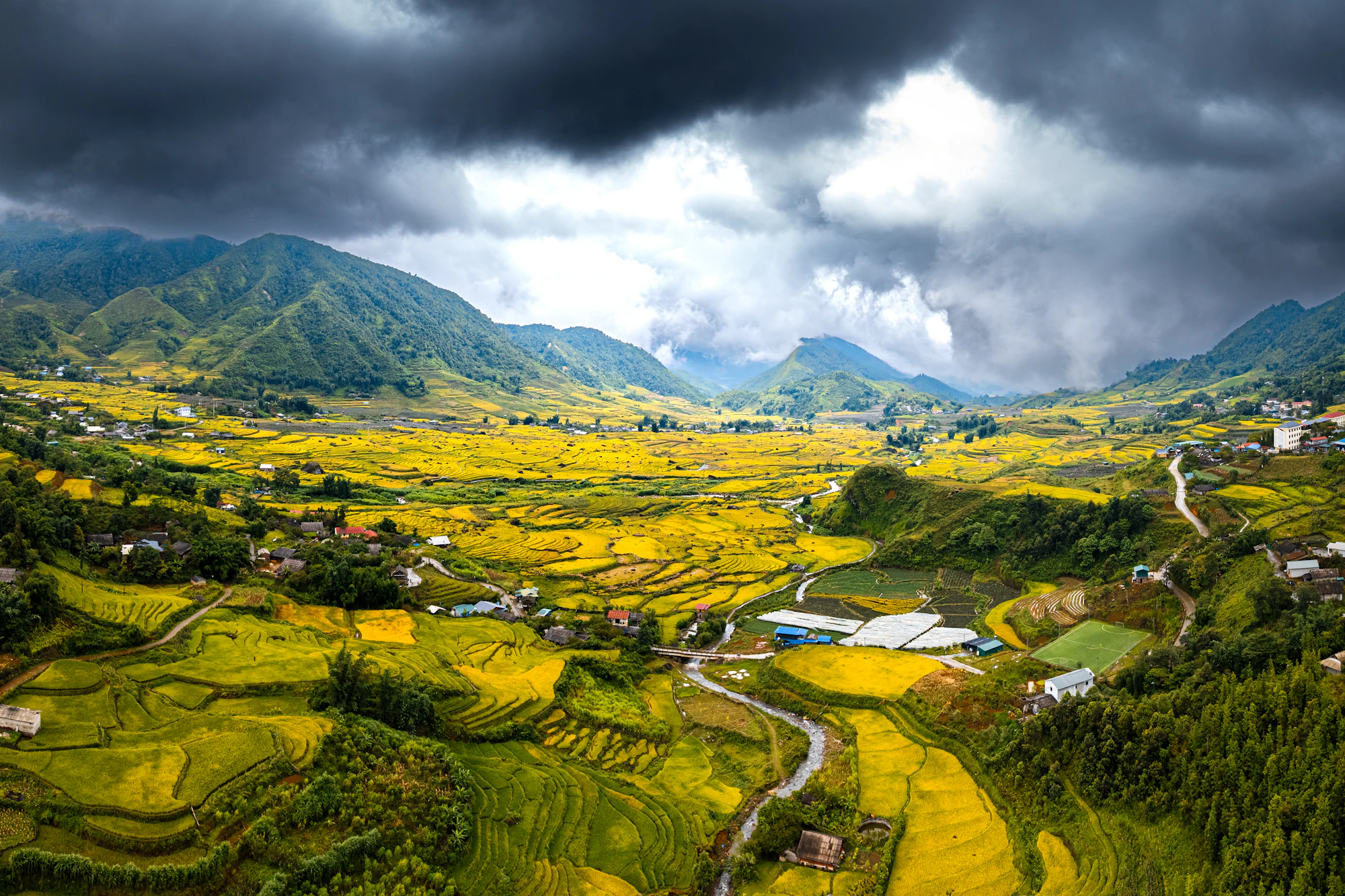 Golden terraced rice fields near Sa Pa, Vietnam DMC by Fiesta Asia Travel